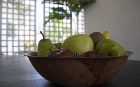 Mango Mansion - International Hostel
